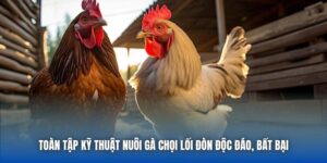 Toàn Tập Kỹ Thuật Nuôi Gà Chọi Lối Đòn Độc Đáo, Bất Bại